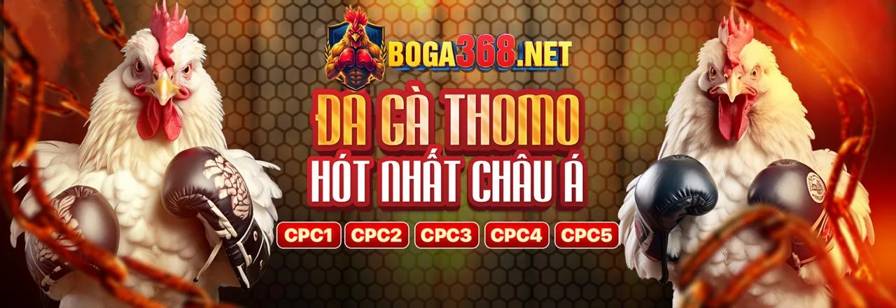Hình ảnh minh họa cờ bạc có trách nhiệm tại 8k77777 link mới